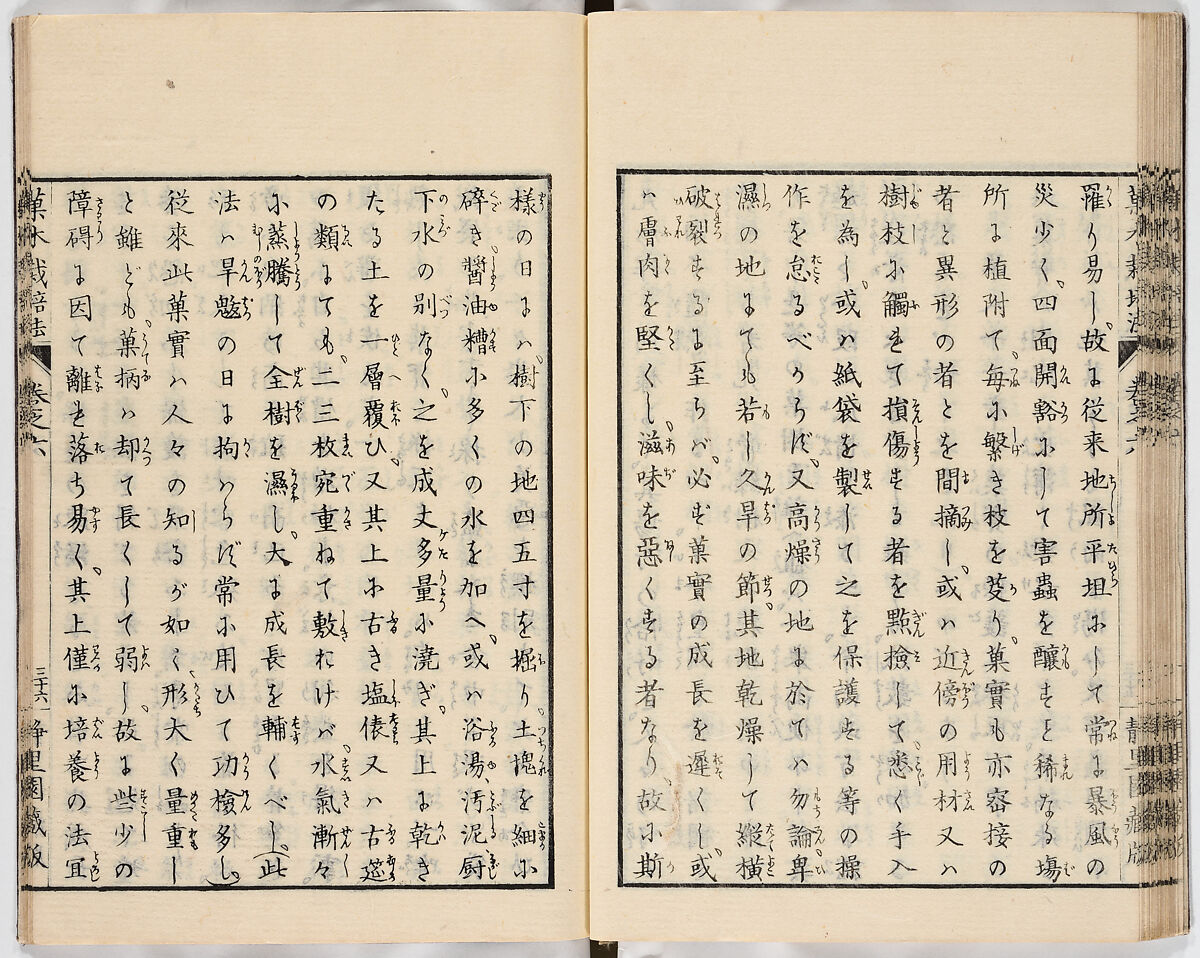 Illustrated book, Ink on paper, Japan