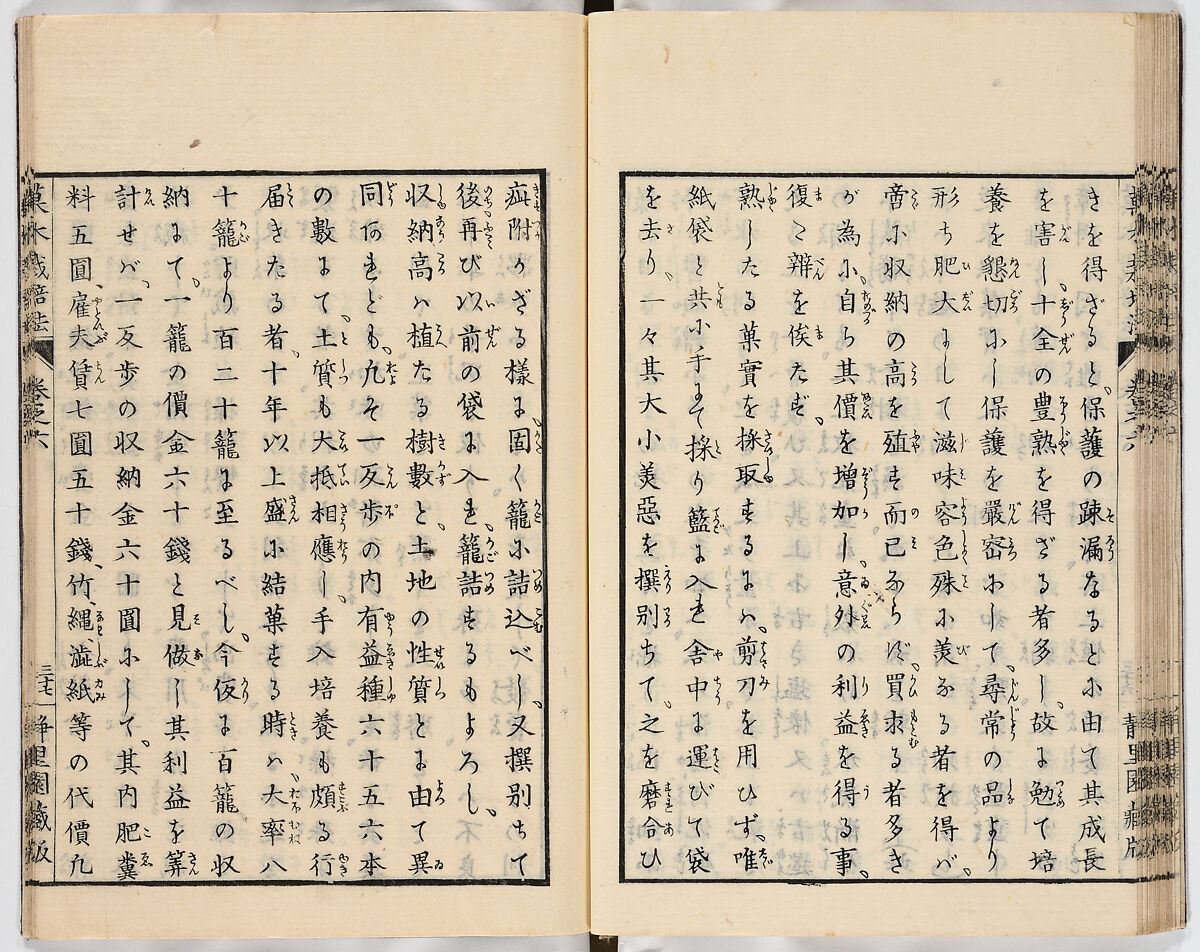 Illustrated book, Ink on paper, Japan