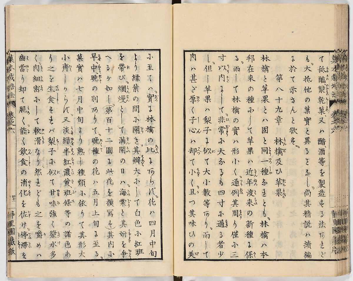 Illustrated book, Ink on paper, Japan