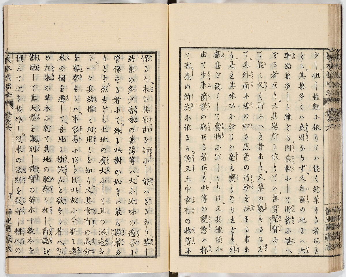 Illustrated book, Ink on paper, Japan