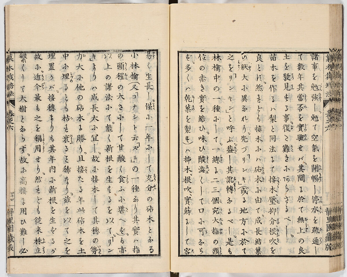 Illustrated book, Ink on paper, Japan