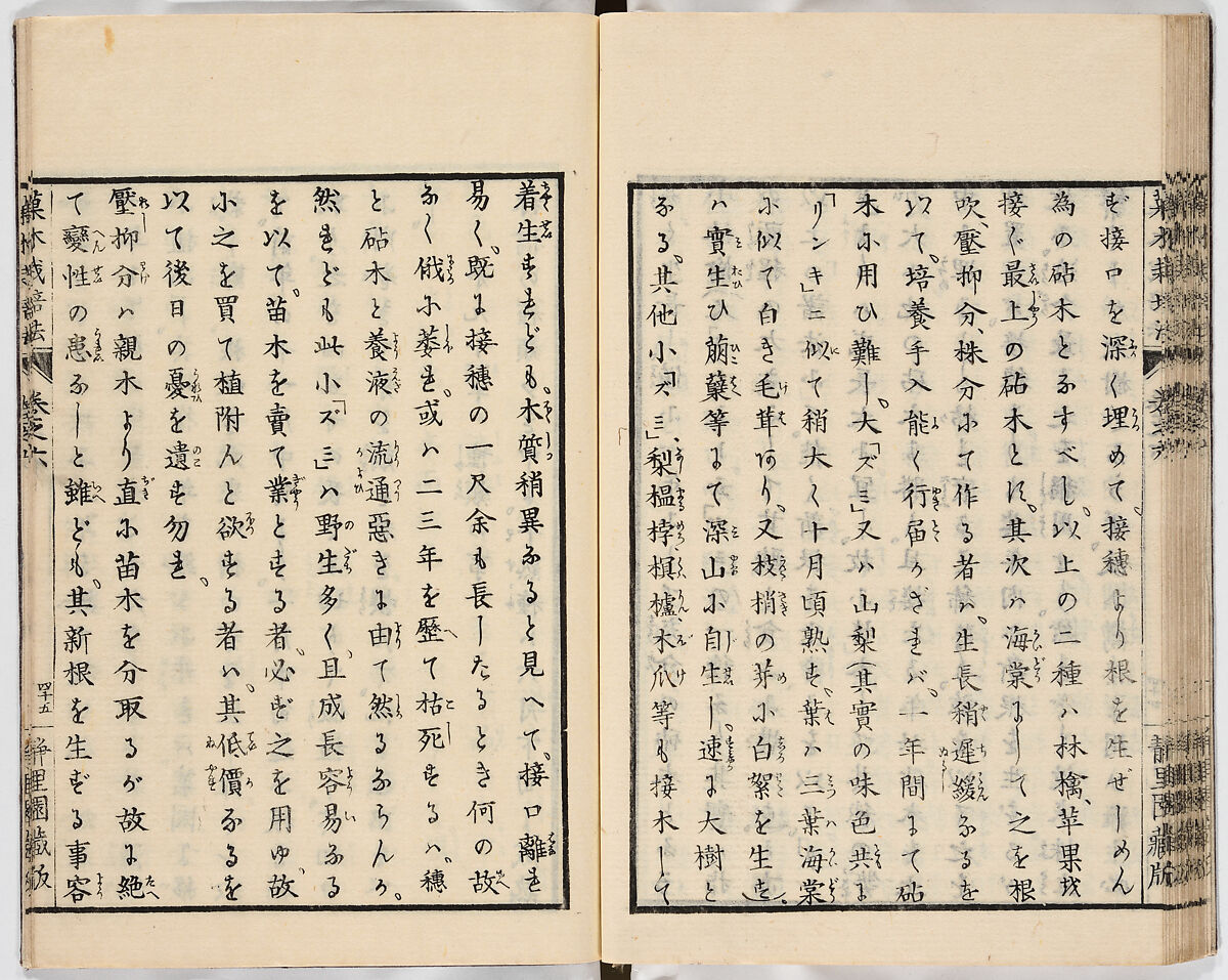 Illustrated book, Ink on paper, Japan