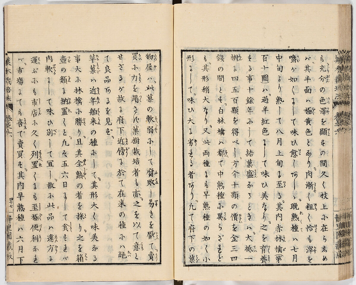 Illustrated book, Ink on paper, Japan