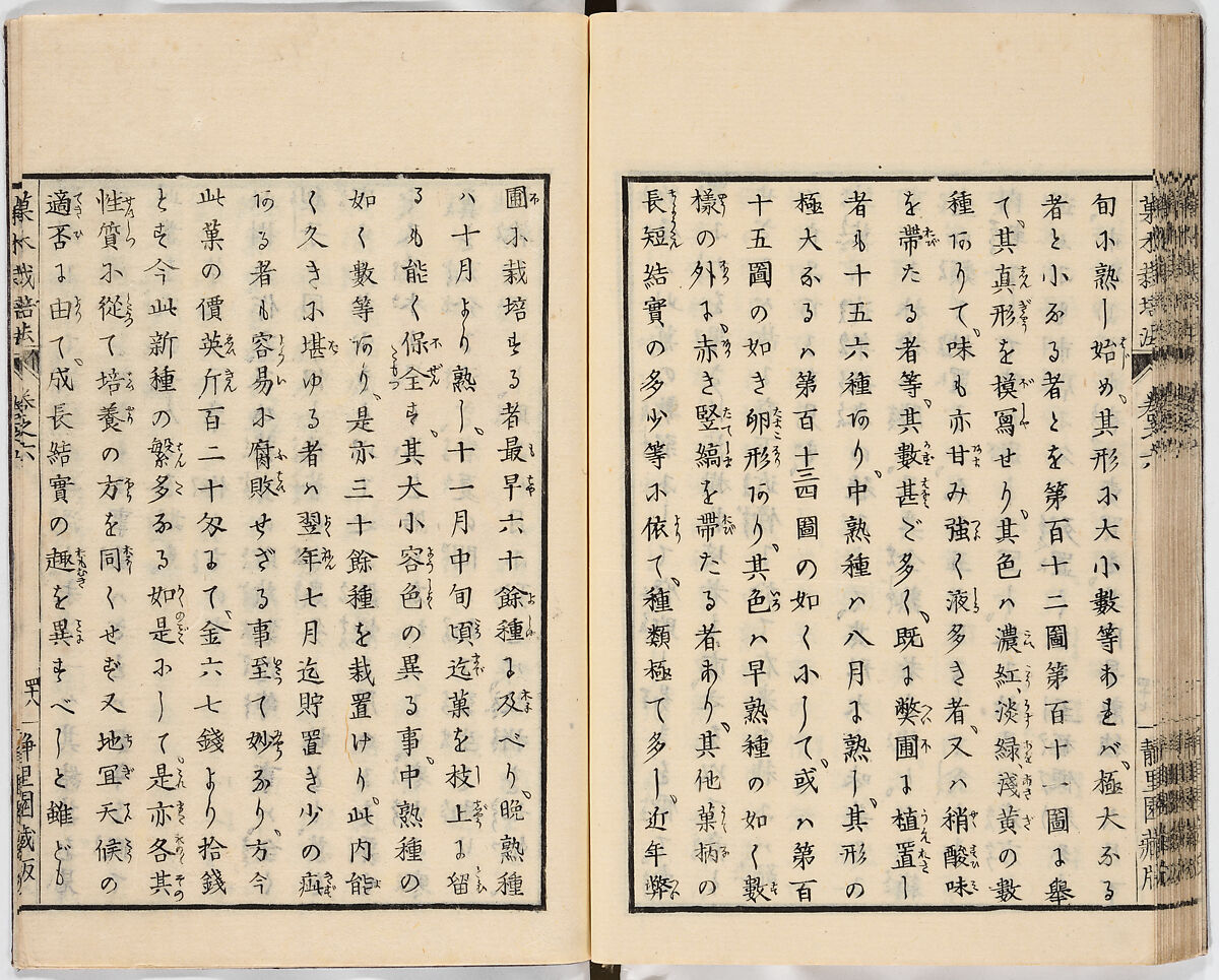 Illustrated book, Ink on paper, Japan