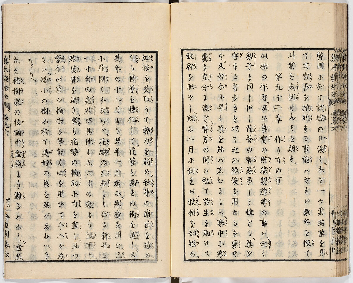 Illustrated book, Ink on paper, Japan