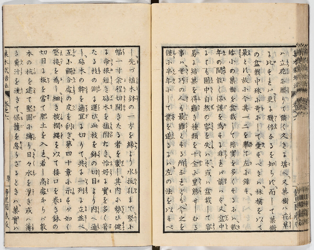 Illustrated book, Ink on paper, Japan