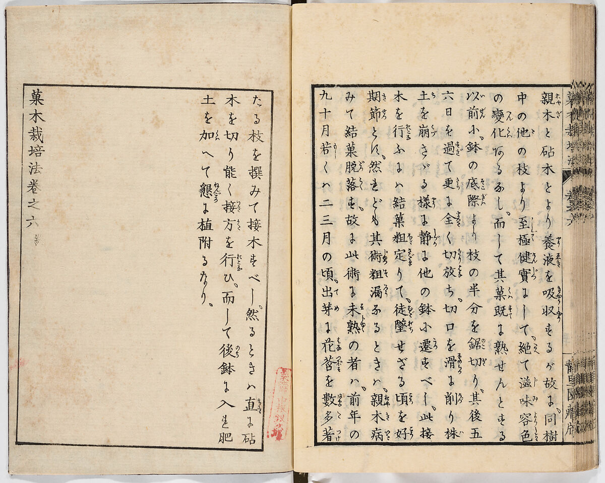 Illustrated book, Ink on paper, Japan