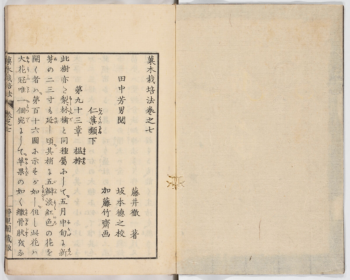 Illustrated book, Ink on paper, Japan