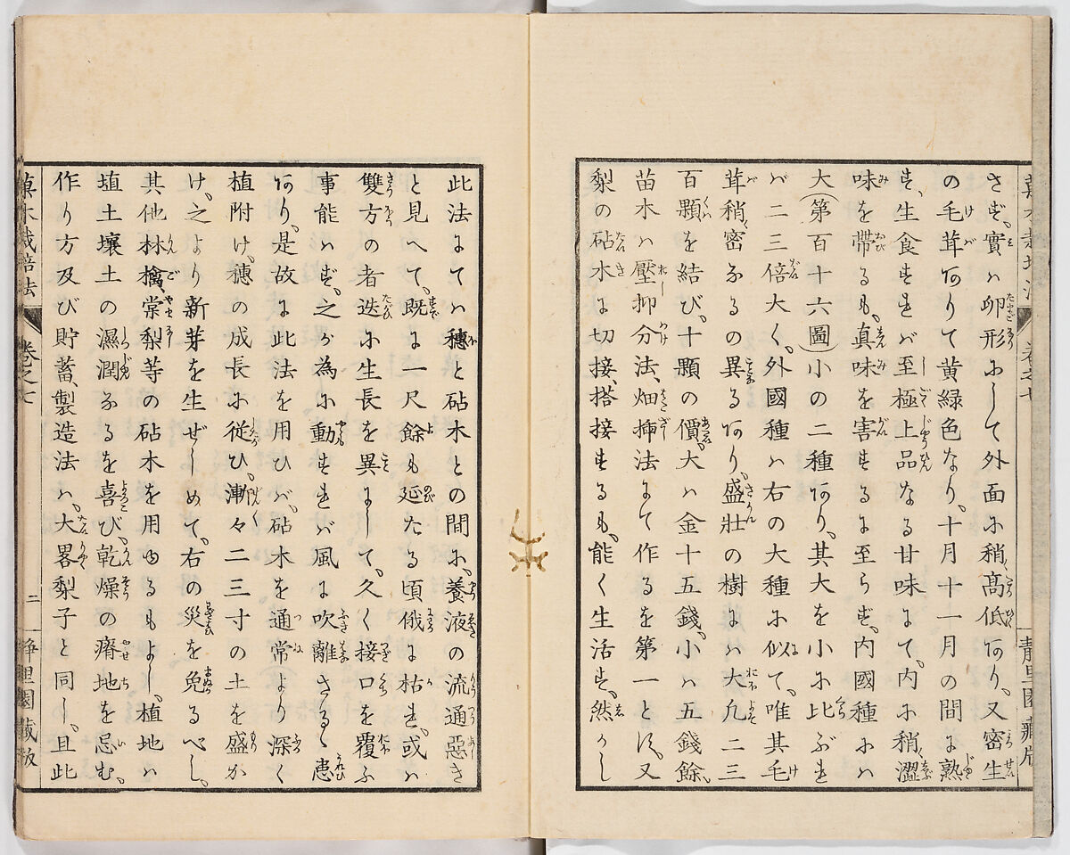 Illustrated book, Ink on paper, Japan