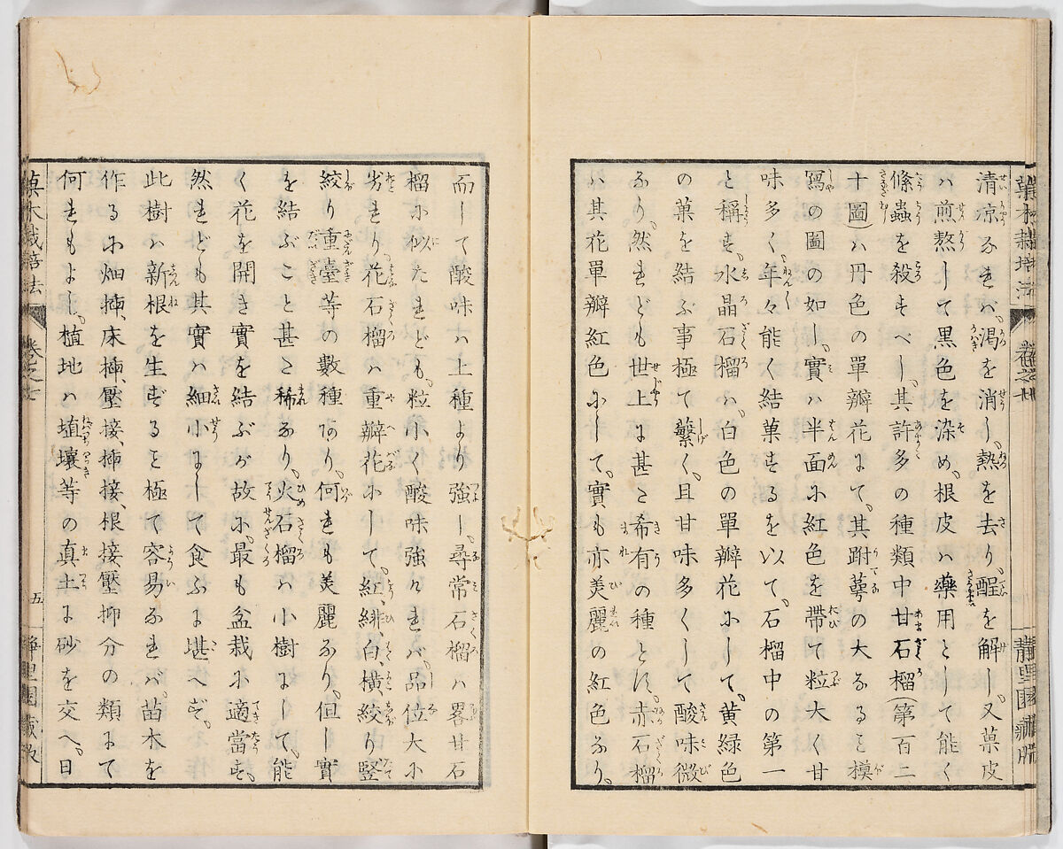 Illustrated book, Ink on paper, Japan