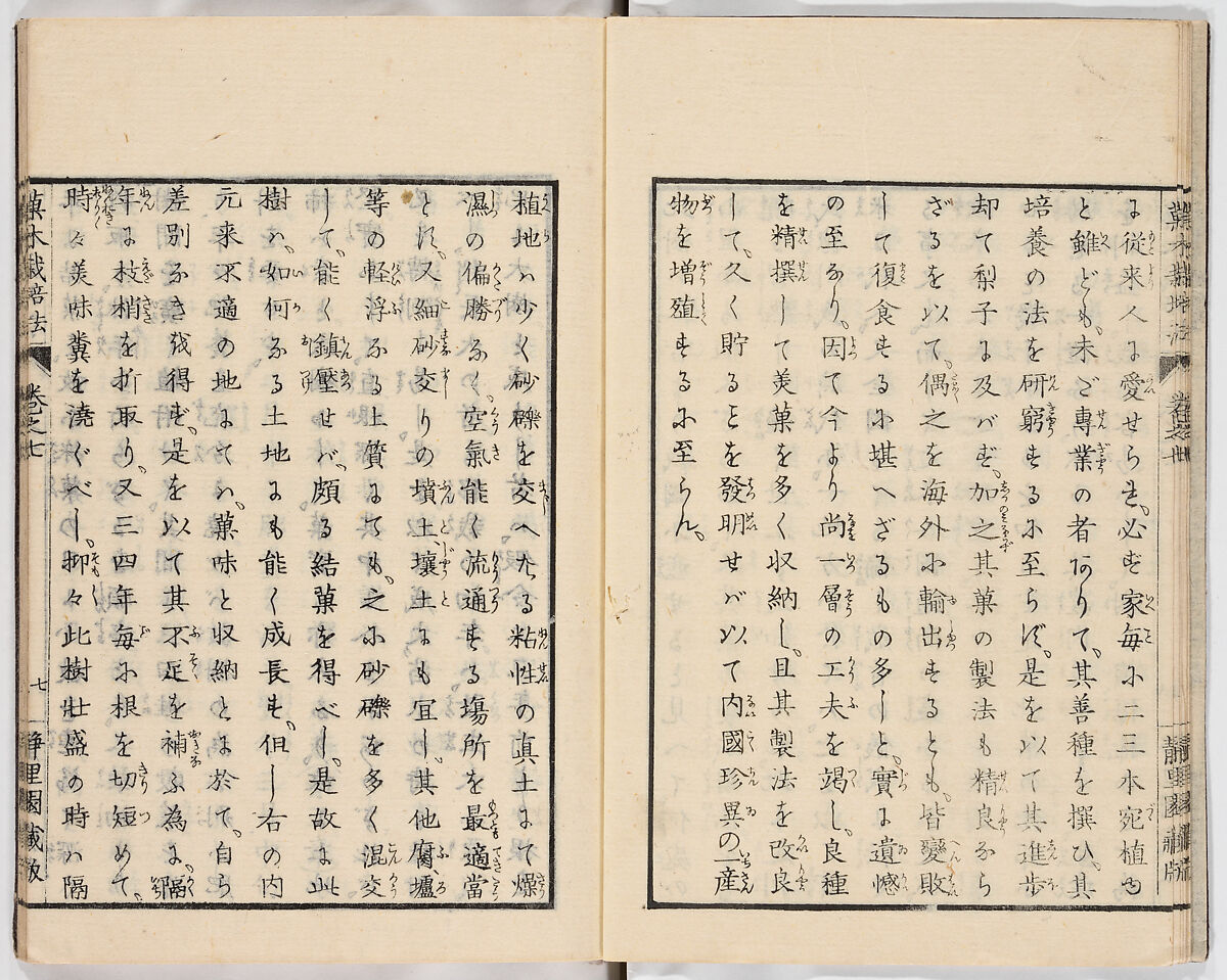 Illustrated book, Ink on paper, Japan