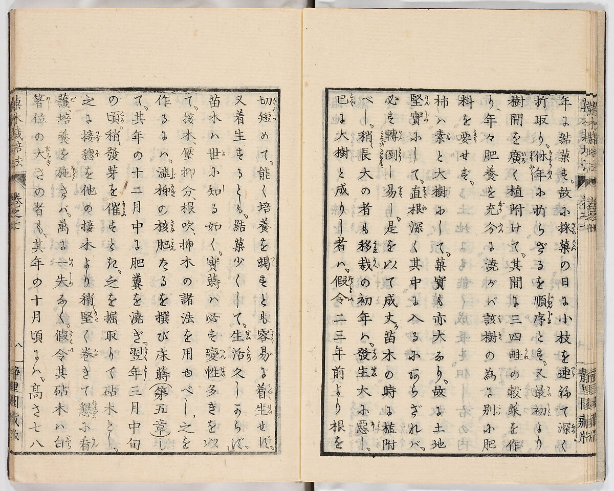 Illustrated book, Ink on paper, Japan