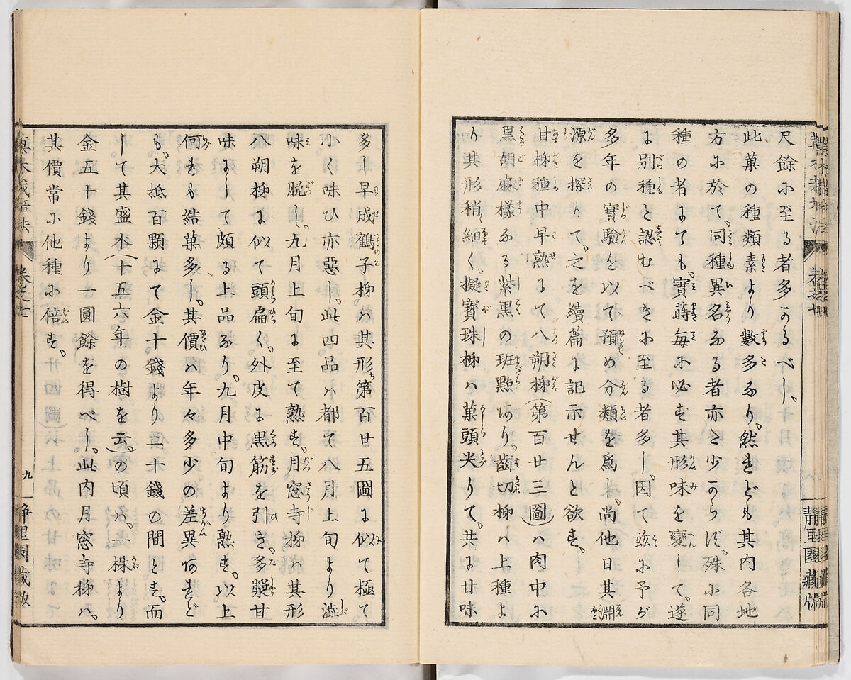 Illustrated book, Ink on paper, Japan