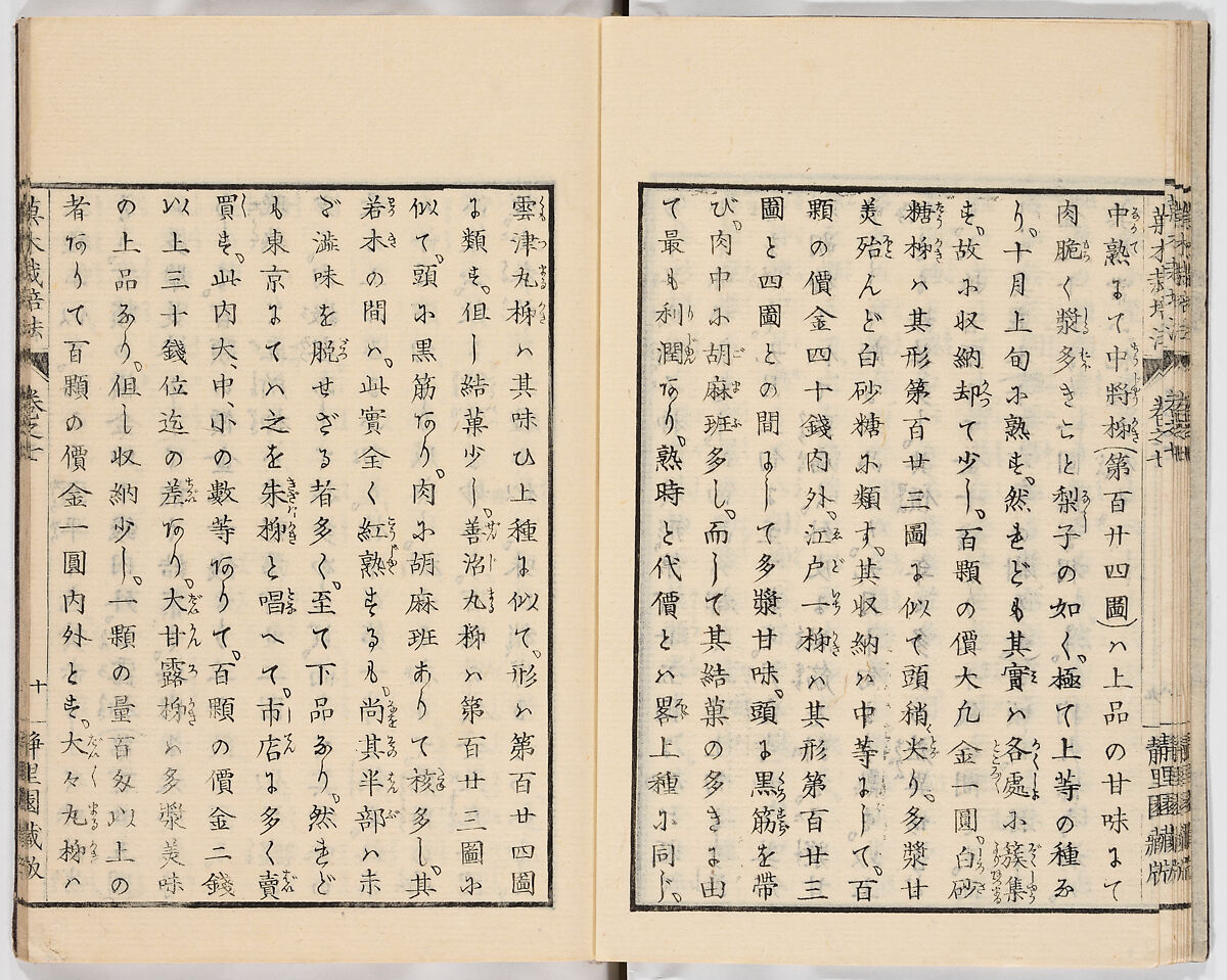 Illustrated book, Ink on paper, Japan