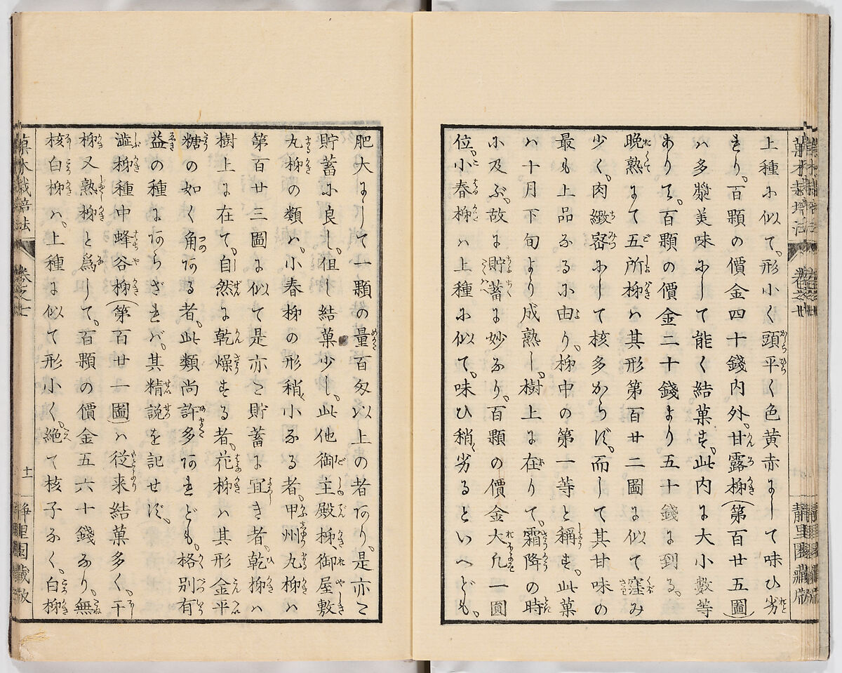 Illustrated book, Ink on paper, Japan