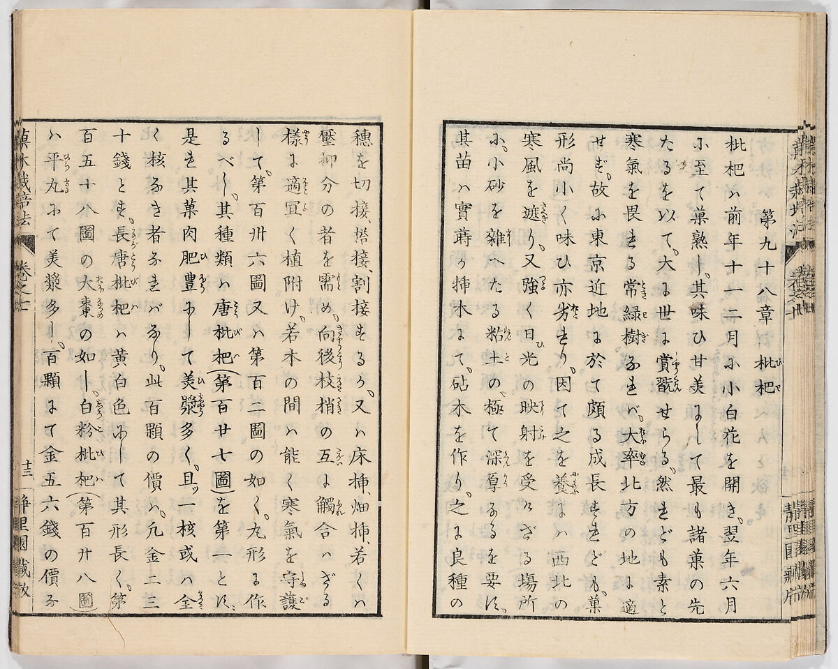 Illustrated book, Ink on paper, Japan