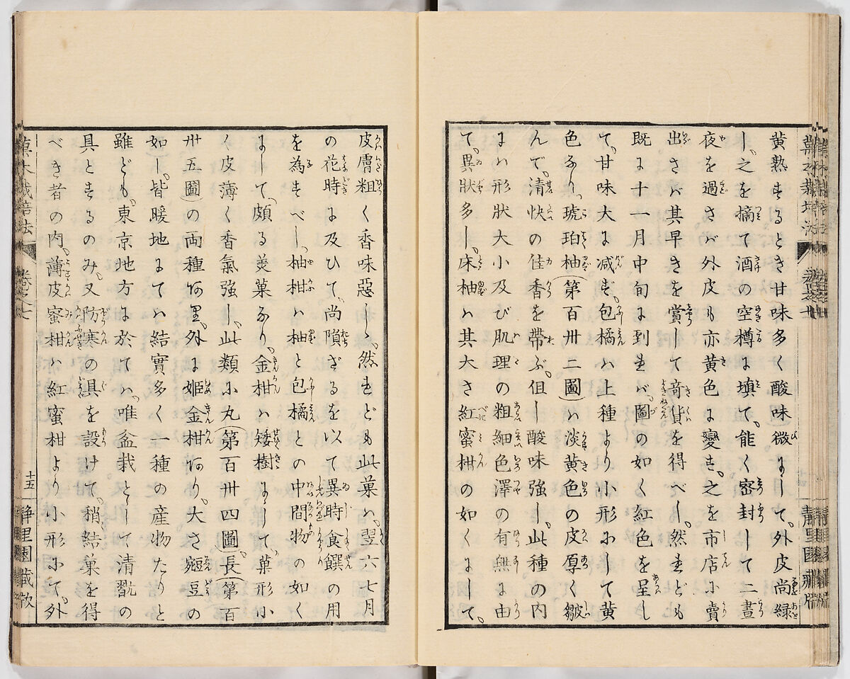 Illustrated book, Ink on paper, Japan