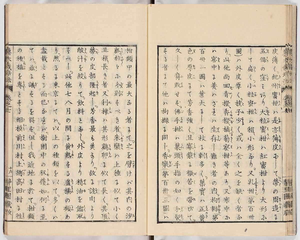 Illustrated book, Ink on paper, Japan