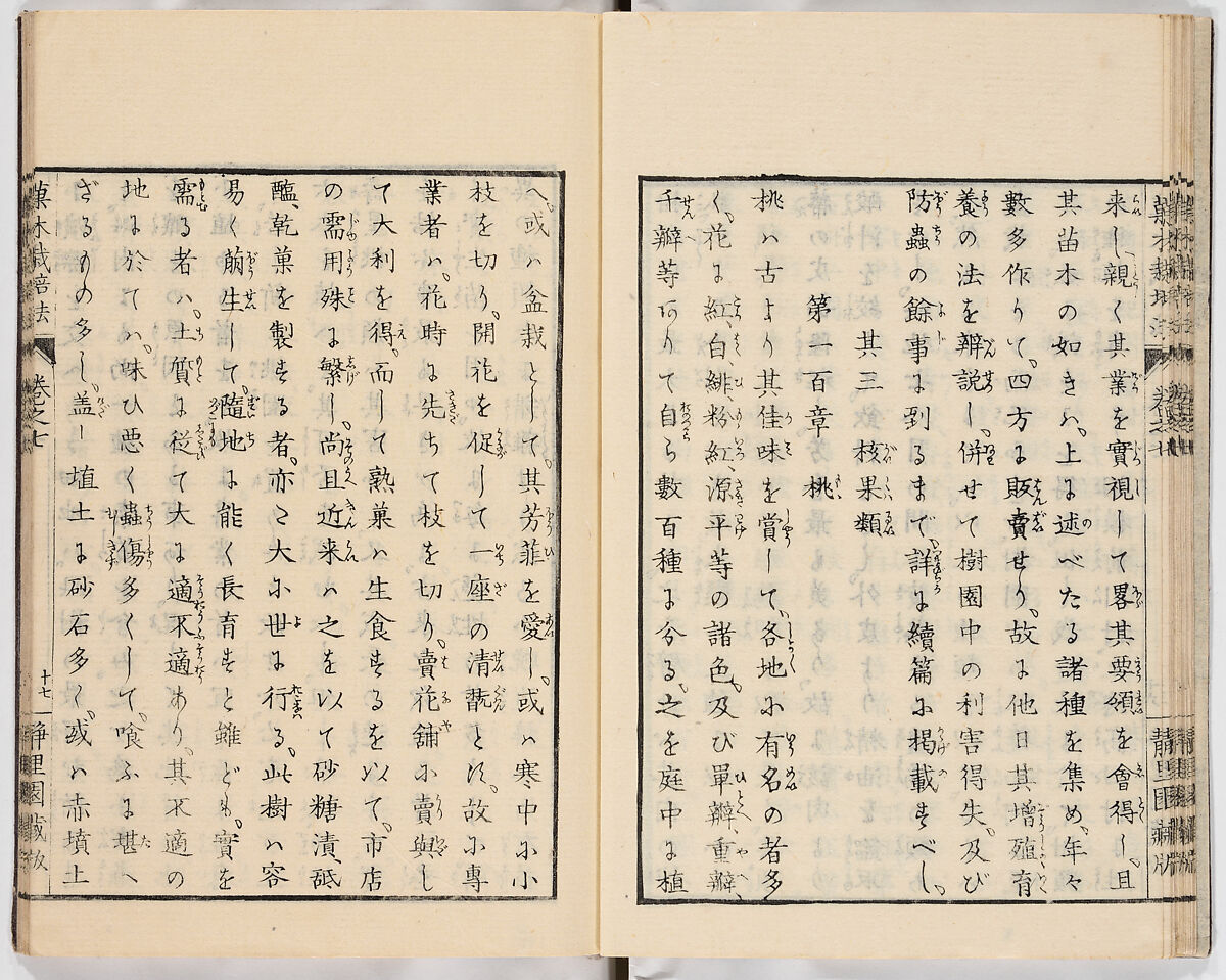 Illustrated book, Ink on paper, Japan