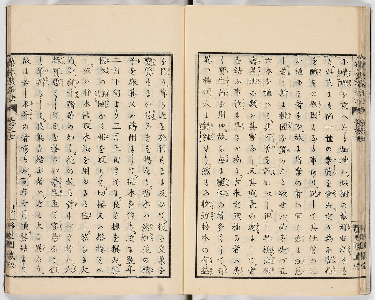 Illustrated book, Ink on paper, Japan