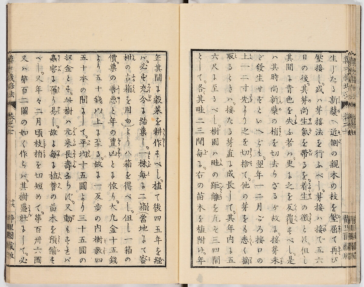 Illustrated book, Ink on paper, Japan