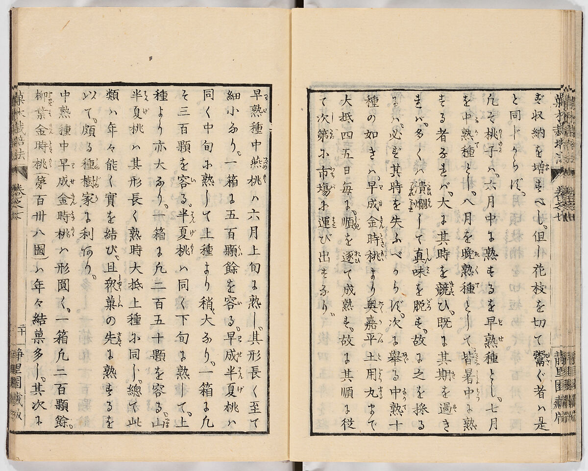 Illustrated book, Ink on paper, Japan