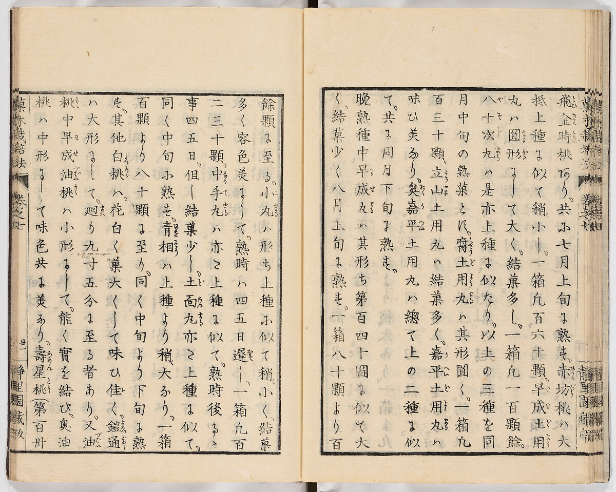 Illustrated book, Ink on paper, Japan