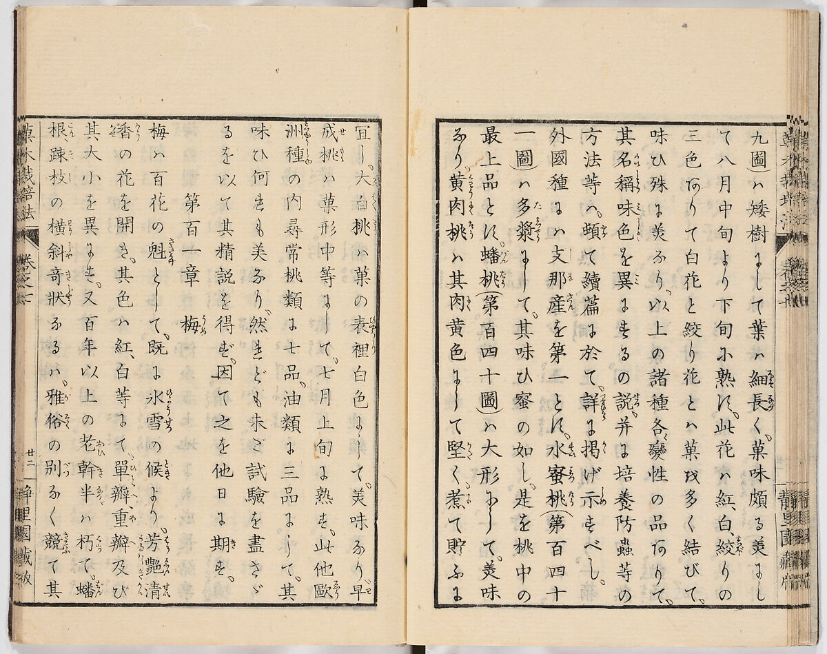 Illustrated book, Ink on paper, Japan