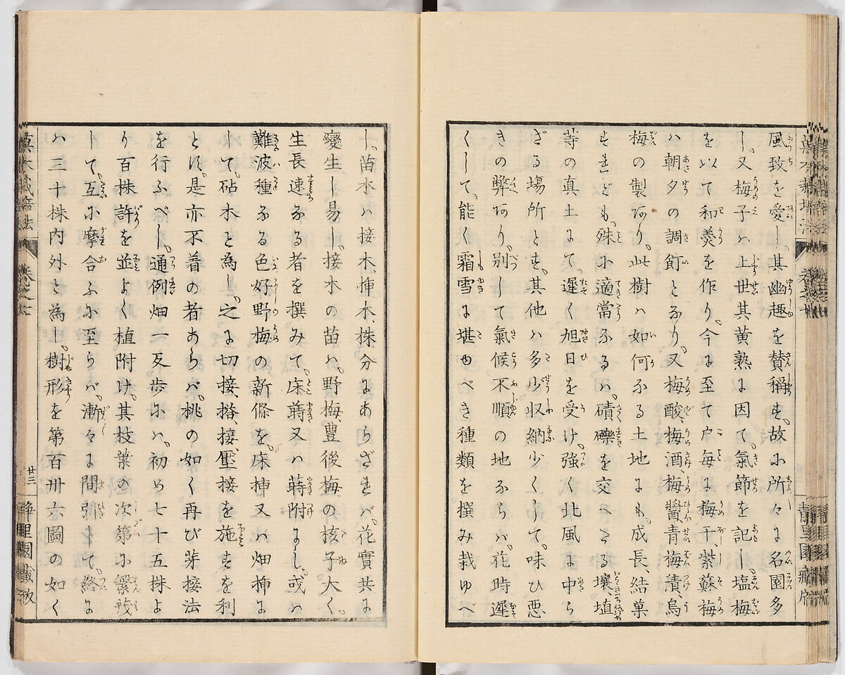 Illustrated book, Ink on paper, Japan