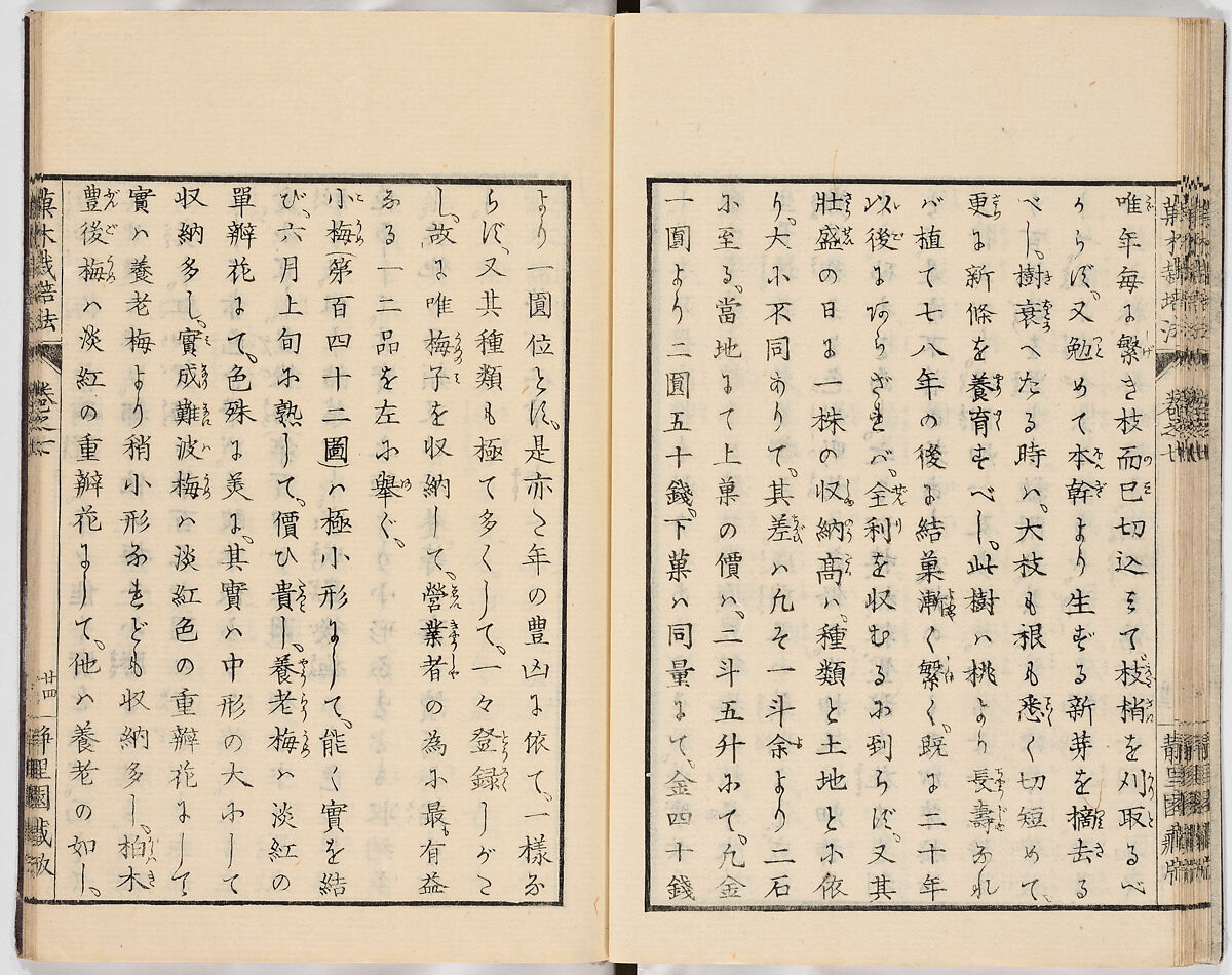 Illustrated book, Ink on paper, Japan