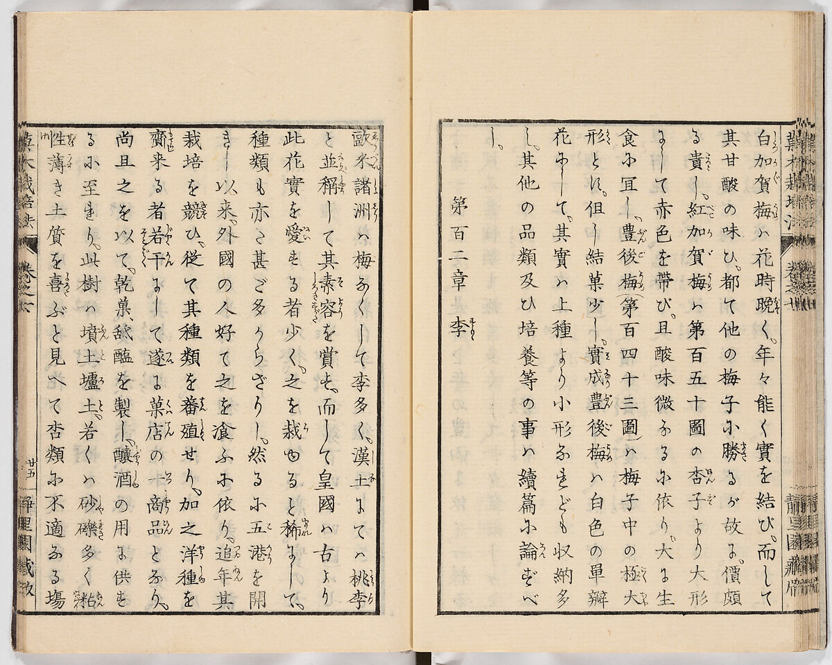 Illustrated book, Ink on paper, Japan