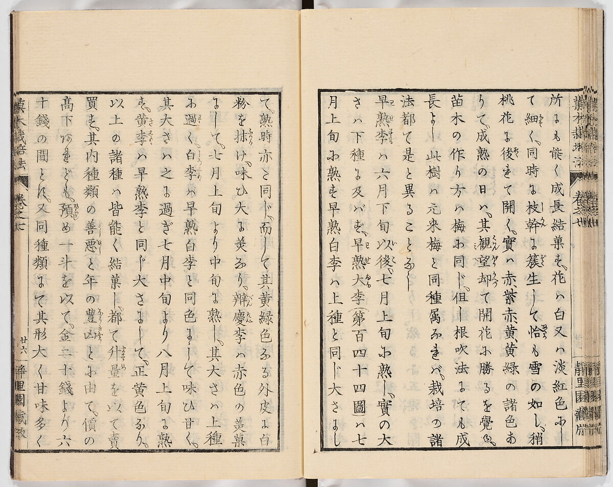 Illustrated book, Ink on paper, Japan