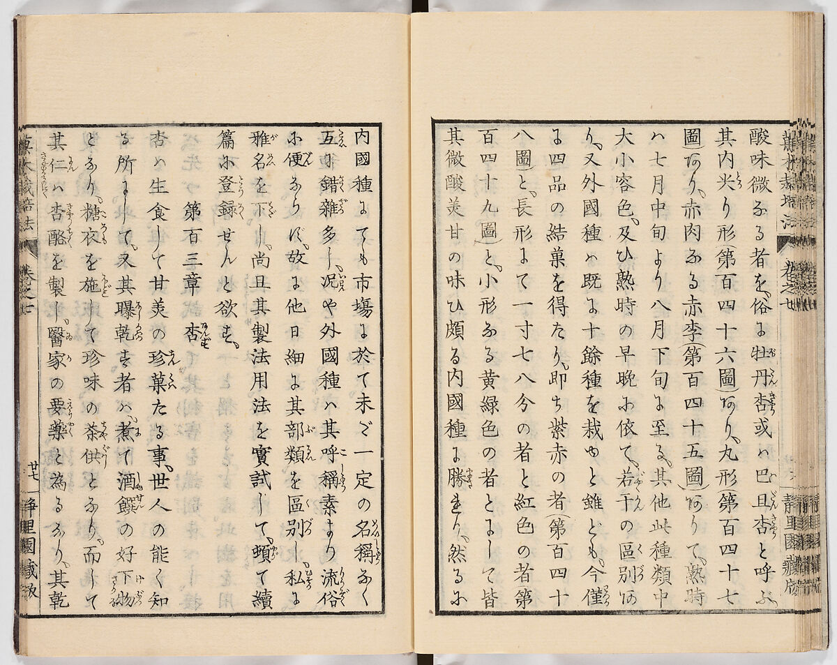 Illustrated book, Ink on paper, Japan