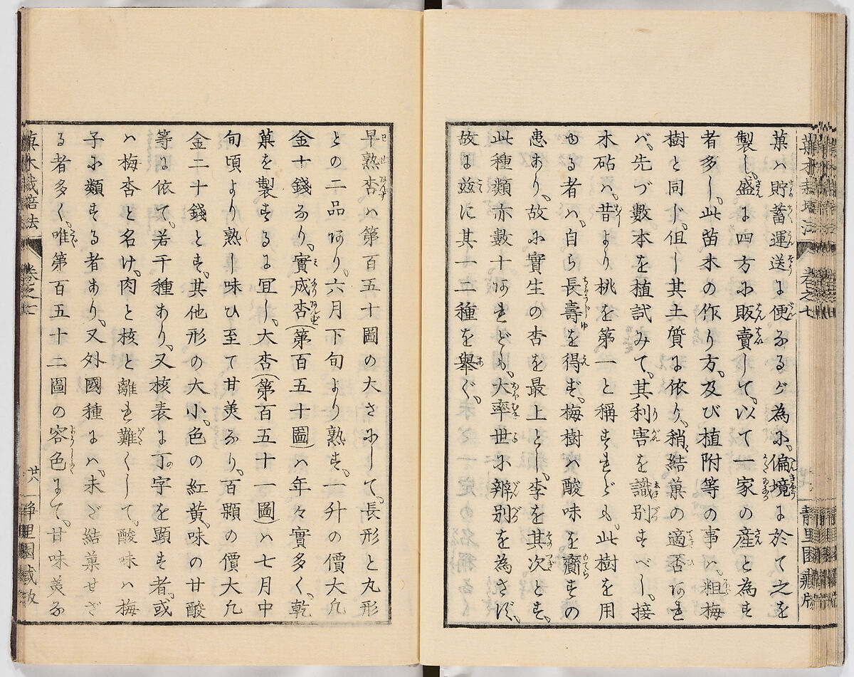 Illustrated book, Ink on paper, Japan