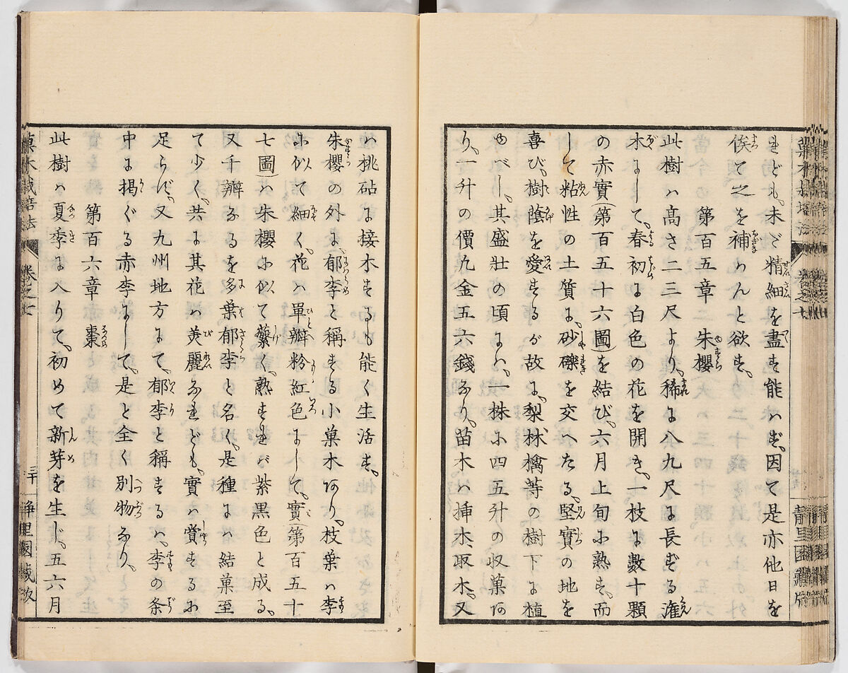 Illustrated book, Ink on paper, Japan