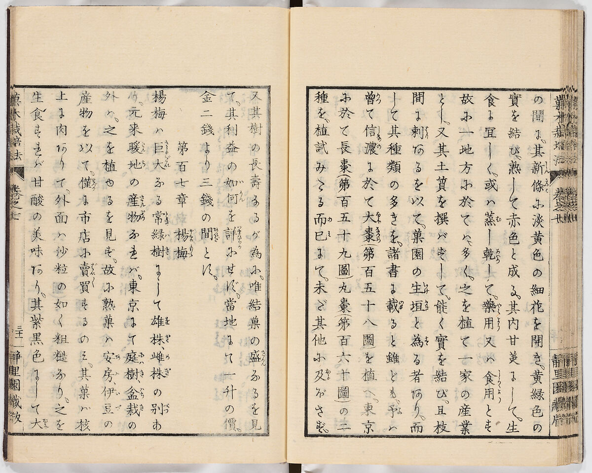 Illustrated book, Ink on paper, Japan