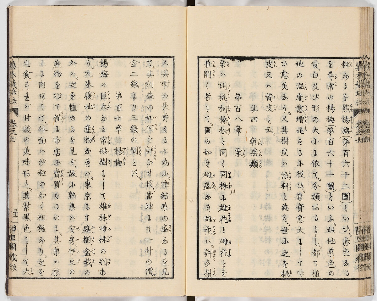 Illustrated book, Ink on paper, Japan