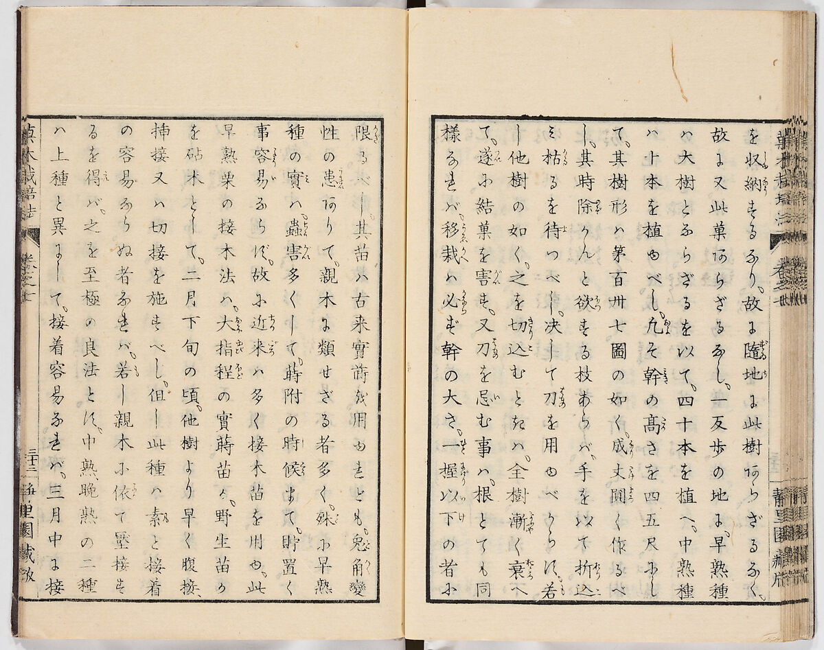 Illustrated book, Ink on paper, Japan