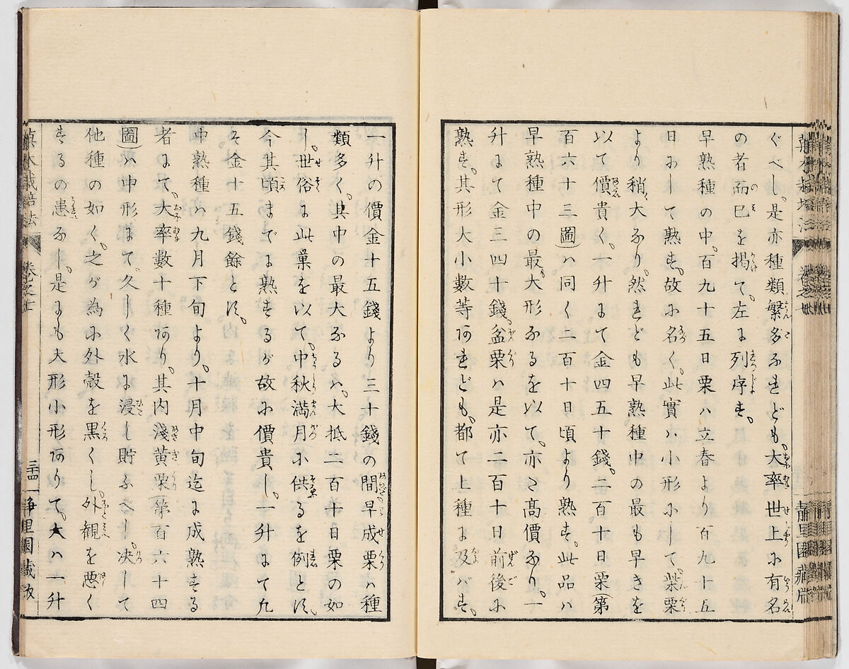 Illustrated book, Ink on paper, Japan