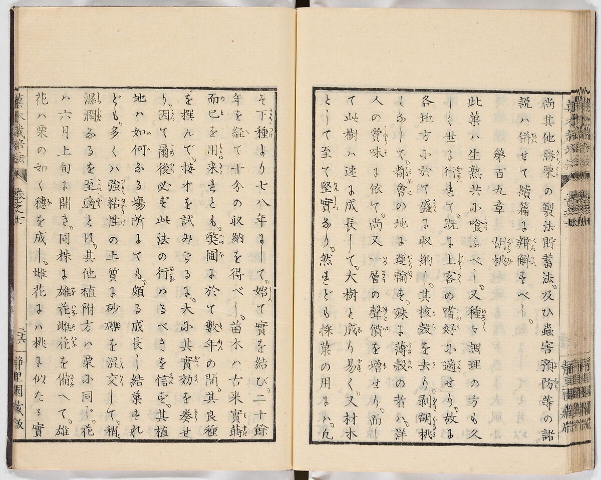 Illustrated book, Ink on paper, Japan