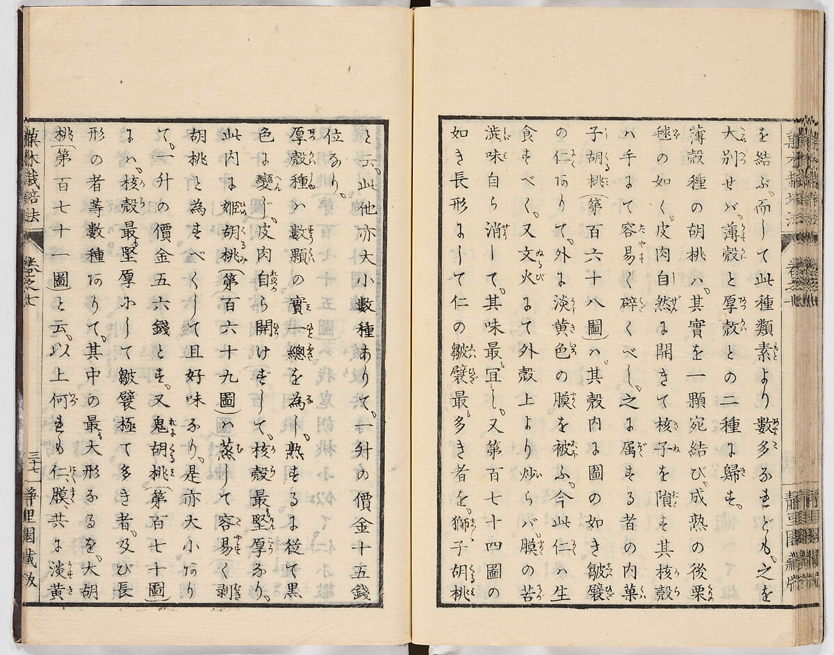 Illustrated book, Ink on paper, Japan