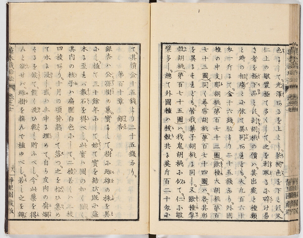 Illustrated book, Ink on paper, Japan