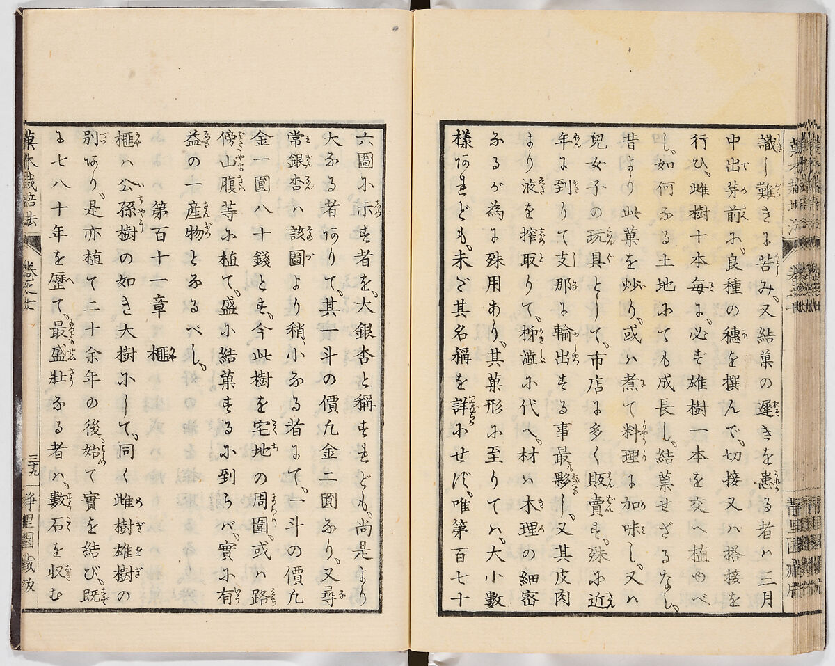 Illustrated book, Ink on paper, Japan