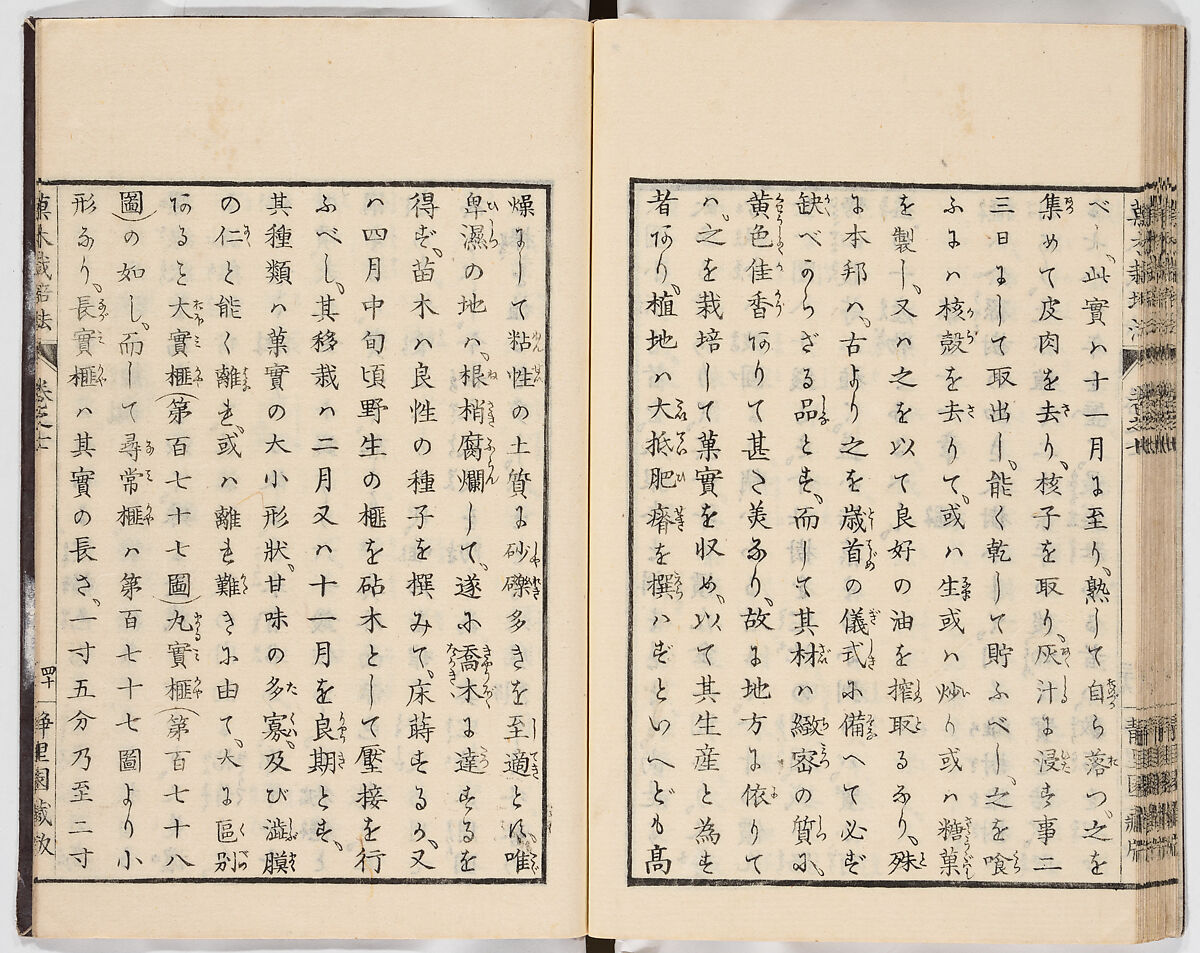 Illustrated book, Ink on paper, Japan