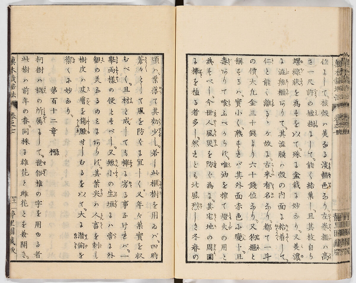 Illustrated book, Ink on paper, Japan