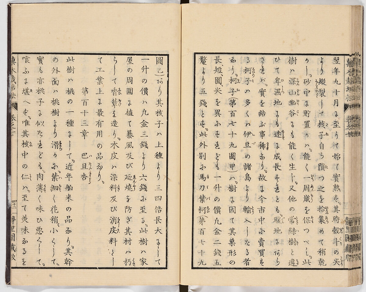 Illustrated book, Ink on paper, Japan