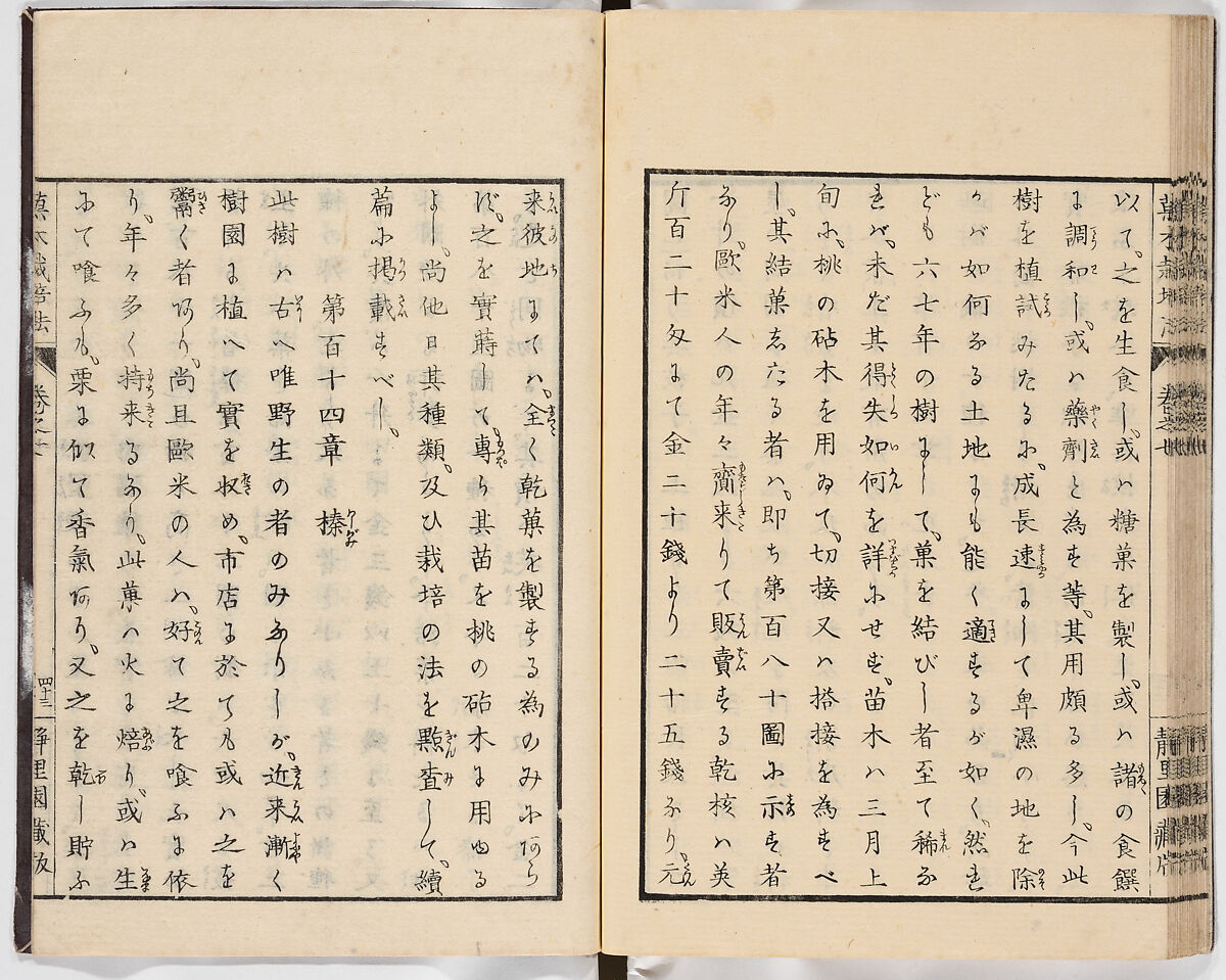 Illustrated book, Ink on paper, Japan