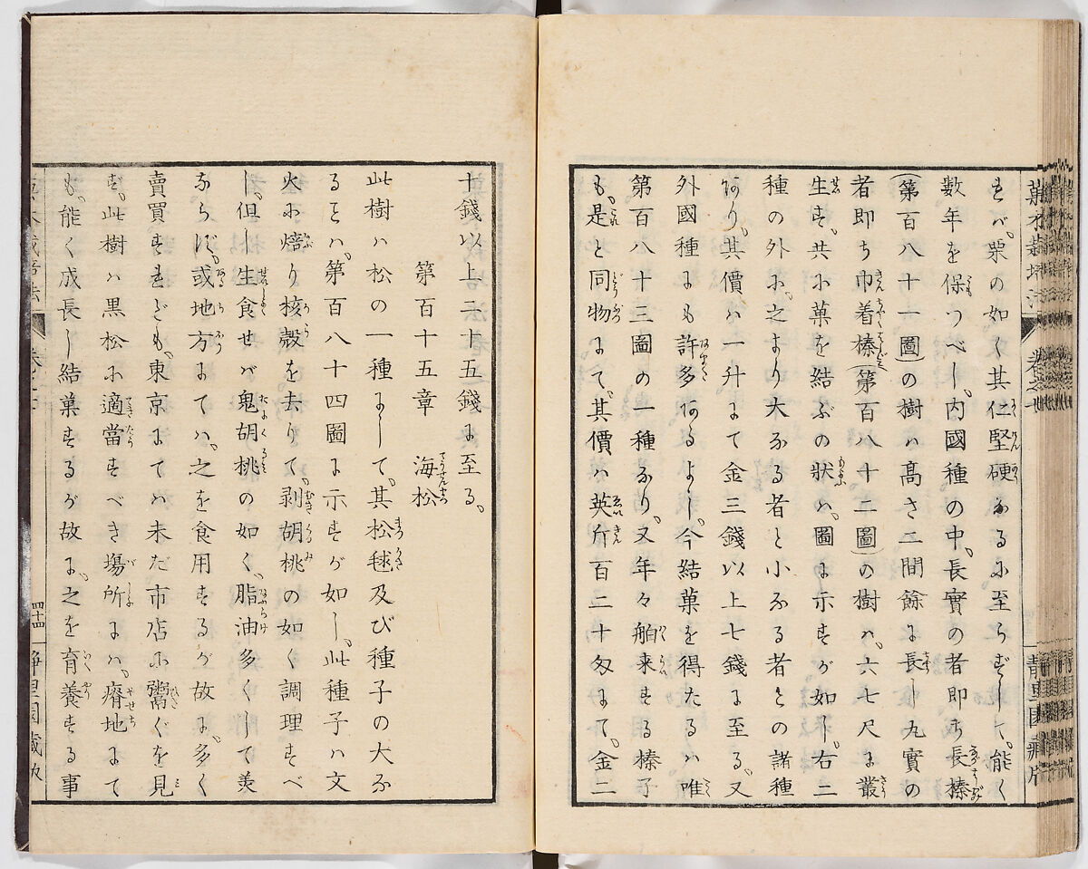 Illustrated book, Ink on paper, Japan