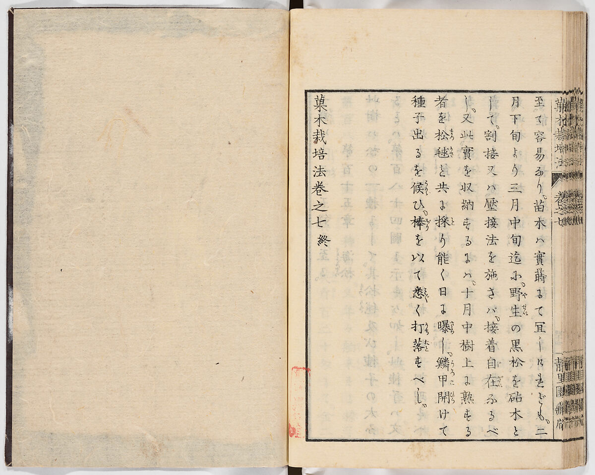 Illustrated book, Ink on paper, Japan