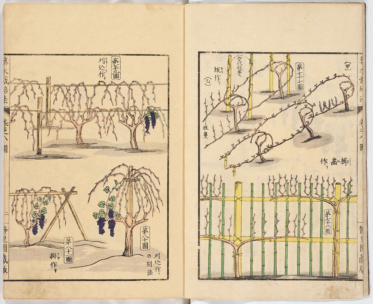 Illustrated book, Ink on paper, Japan